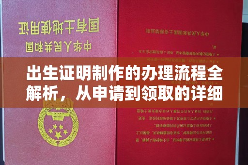 肥东出生证明制作的办理流程全解析，从申请到领取的详细指南