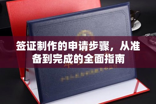 肥东签证制作的申请步骤，从准备到完成的全面指南