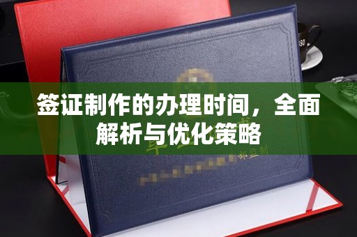 肥东签证制作的办理时间，全面解析与优化策略